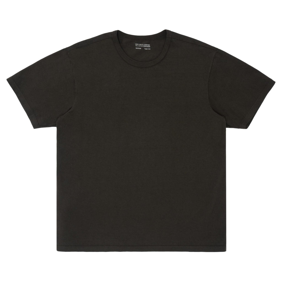 LW101T Our T-Shirt 2 Pack - Flint
